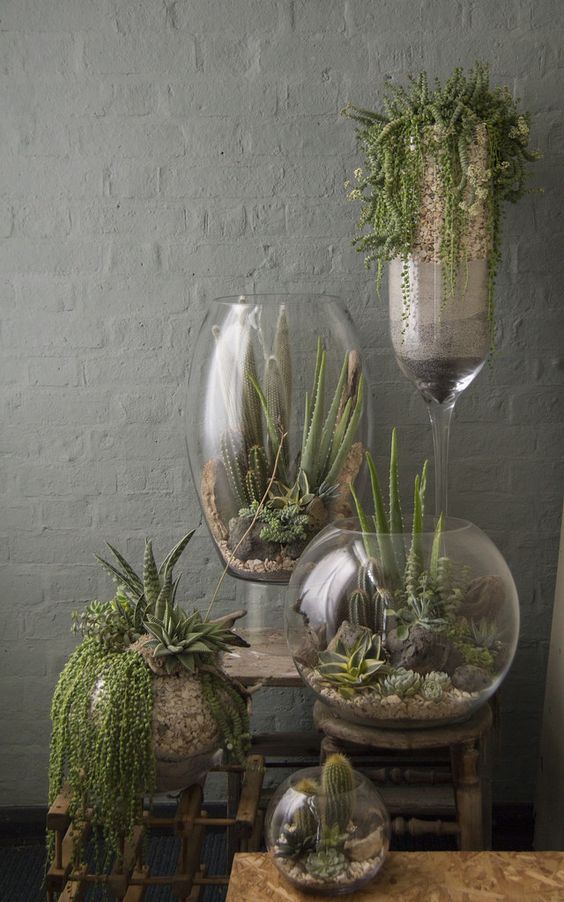 terrarium - King Matériaux