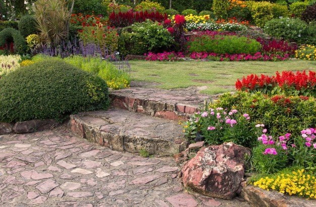 jardin-fleurs