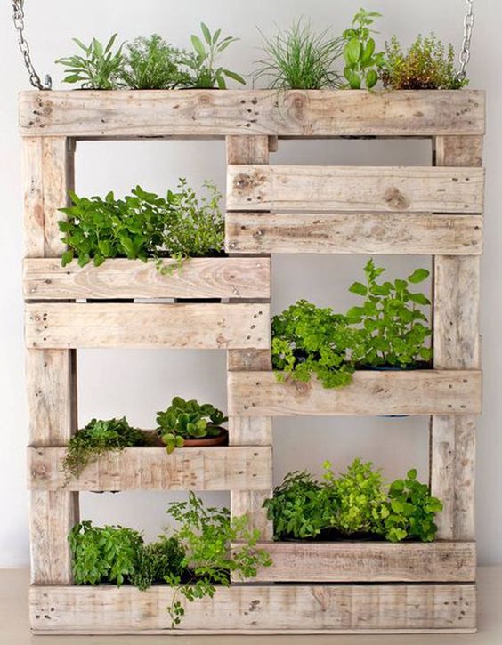 palette en bois potager - King Matériaux