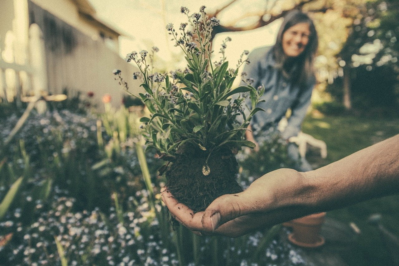 jardinage-pour-tous