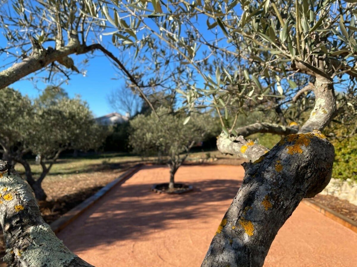 terrain de pétanque sur béton à Noves