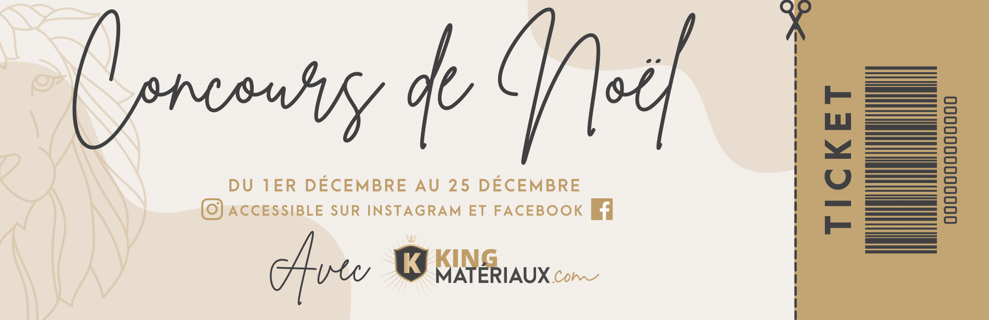 TICKET CONCOURS (3)