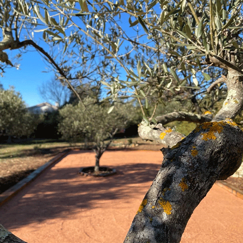 terrain de petanque